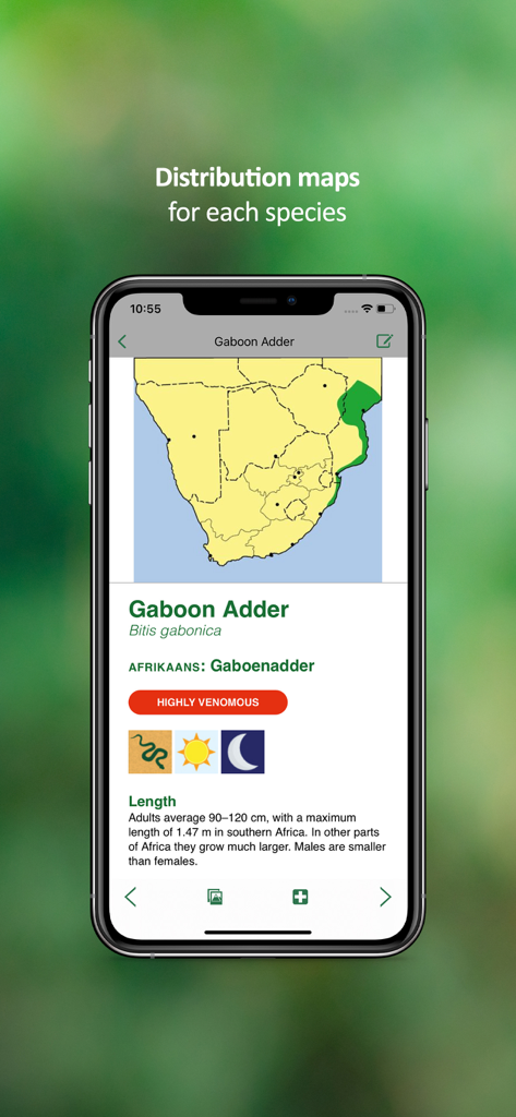 eSnakes Southern Africa - eSnakes Southern Africa app displaying a distribution map and detailed profile for a Gaboon Adder snake species.