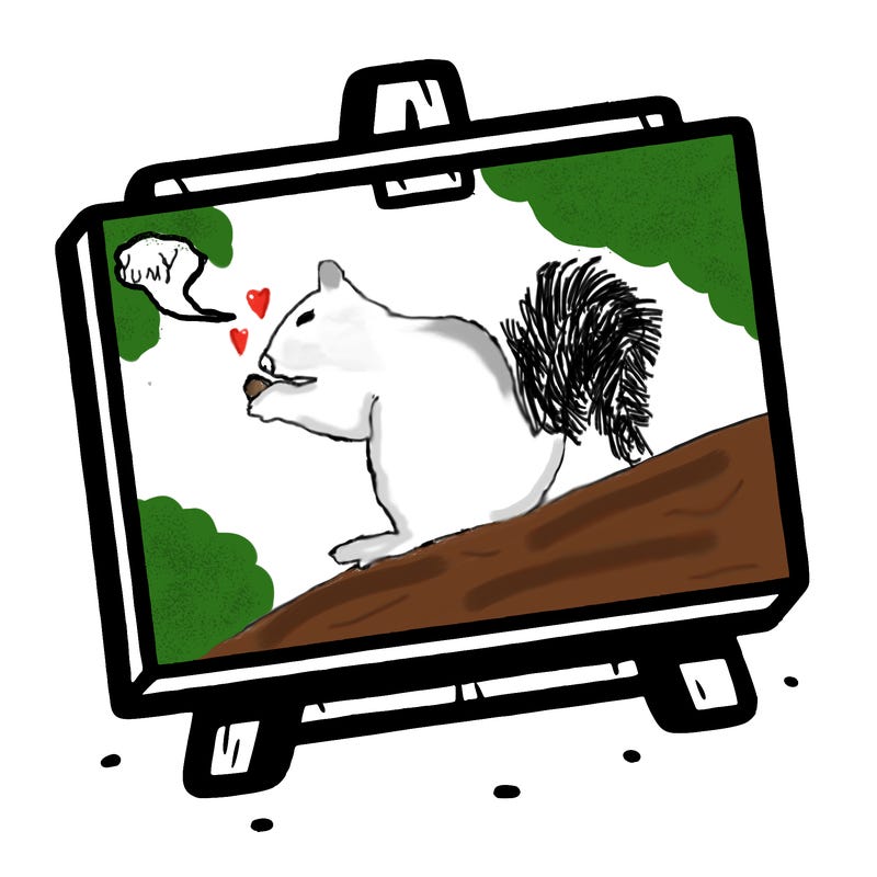 just a plain white canvas nothing on it