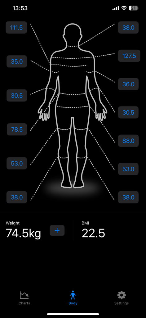 Body Measurements Pro - Schermata dell'app Body Measurements Pro che mostra una silhouette con metriche corporee tracciate e IMC