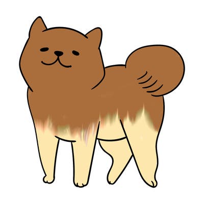 animals_29