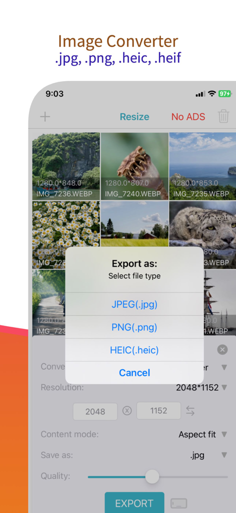 reduce image size - resizer - Screenshot, der Bildkonvertierungsoptionen für JPEG-, PNG- und HEIC-Formate zeigt.
