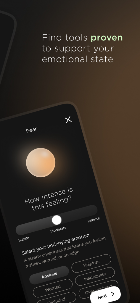 Nebbi App - A mobile interface from the Nebbi app showing a mood tracking screen for fear with an intensity slider and emotion selection buttons