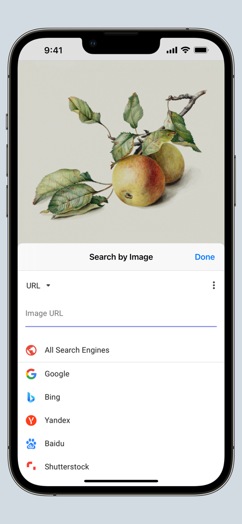 Search by Image for Safari - Interface de l'application Recherche par image pour Safari avec les options de moteur de recherche sur iPhone.