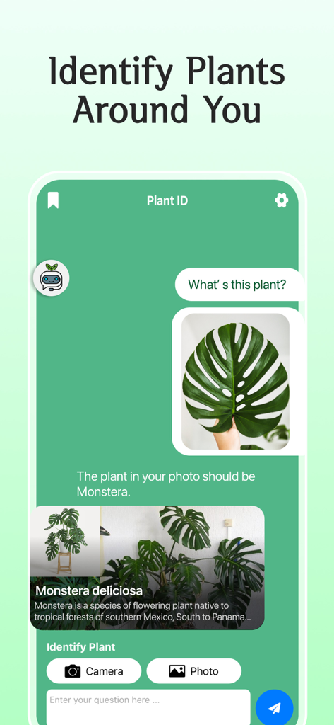 Interface do aplicativo AI Plant Care mostrando um chat de identificação de plantas para uma folha de Monstera