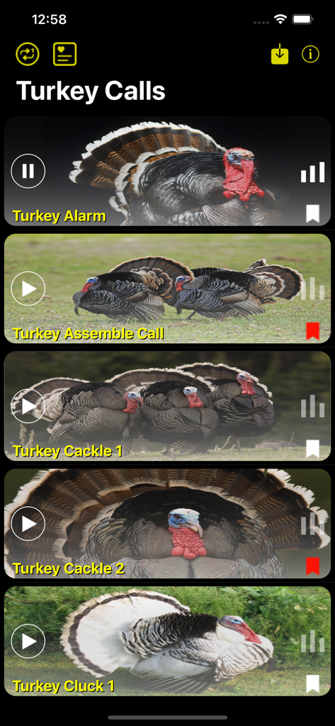 Turkey hunting calls mobile app interface showing a list of different wild turkey sounds with bird photos