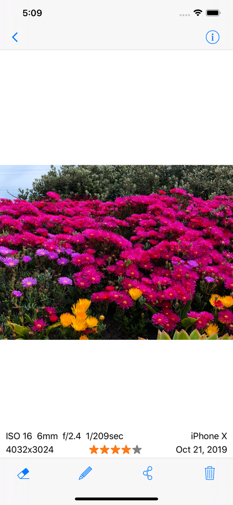 Screenshot of ViewExif app showing technical camera settings and EXIF data for a photo of pink flowers