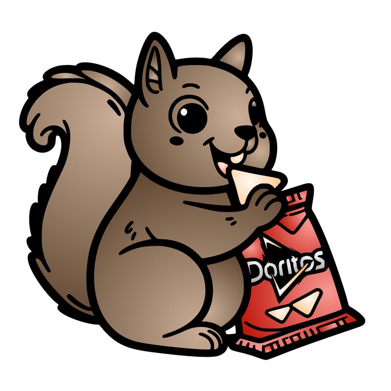 squirrel eating a bag of doritos