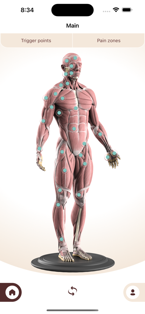 Trigger point - Body - Modelo 3D de anatomía humana con marcadores de puntos gatillo musculares