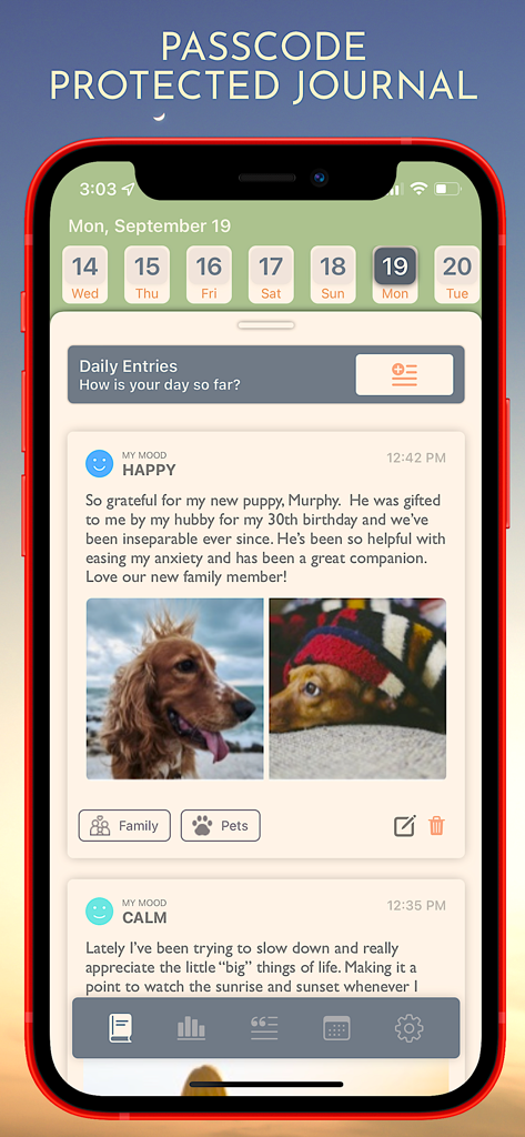 Daily Journal+ - Una entrada de diario digital segura en la aplicación Daily Journal+ que muestra un estado de ánimo feliz, texto personal y fotos de un perro.