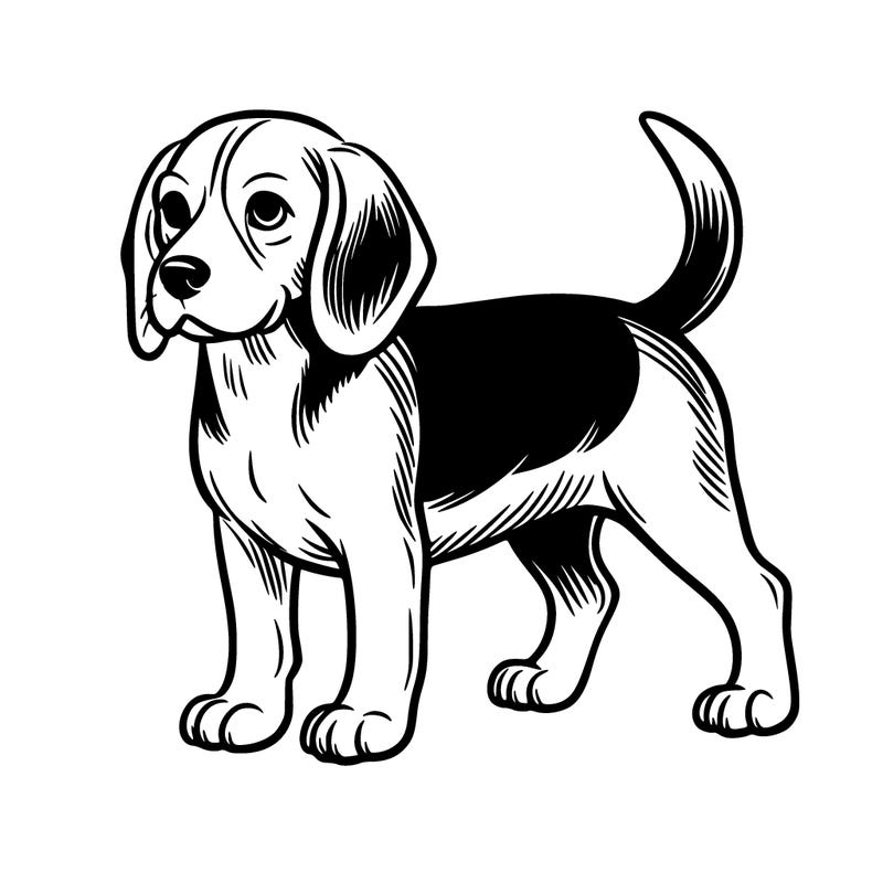 beagle