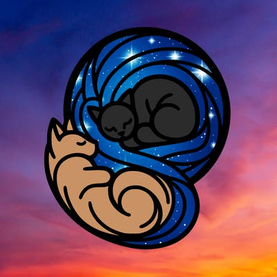 abstract art designed cat curled in a ball seeing reflection of itself