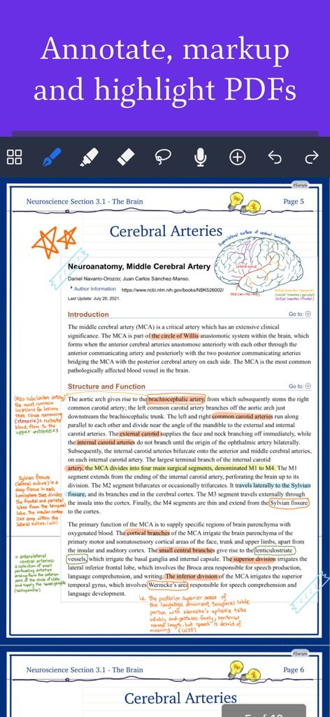 Noteful: Notes & PDF Markup - Handwritten notes and highlights on a medical PDF using Noteful on iPad