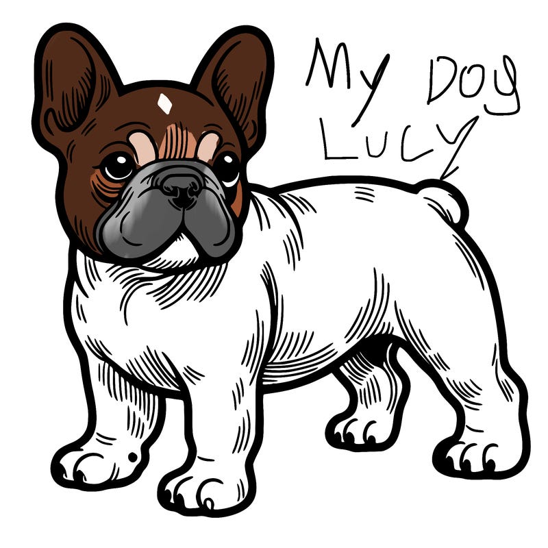 french bulldog