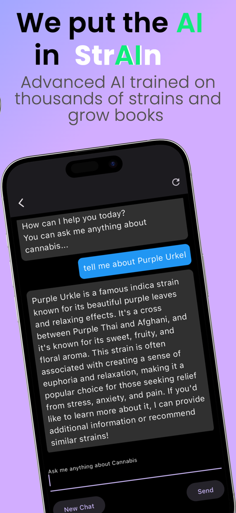 Strain Guide app AI Bud Tender chat interface providing detailed information about the Purple Urkel cannabis strain