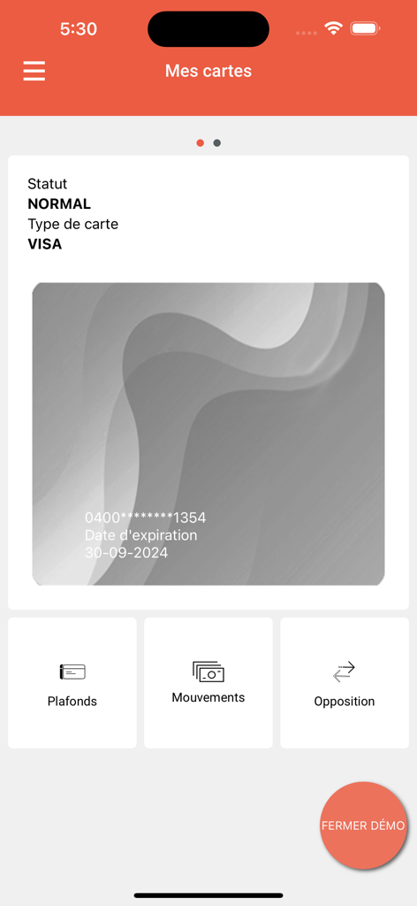 Interface de l'application UGB-eBANK montrant l'écran Mes Cartes avec une carte Visa et les options de gestion