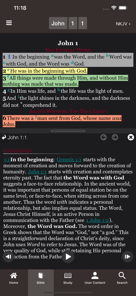 Bible app interface displaying John 1 scripture with verse commentary and study notes