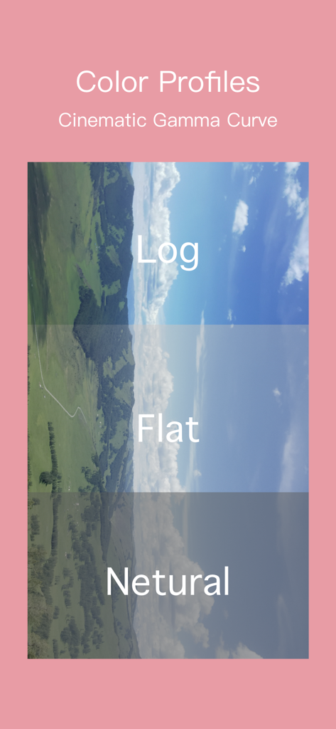 RCam Pro - Manual Camera & RAW - RCam Pro screen displaying cinematic gamma curve options including Log and Flat color profiles