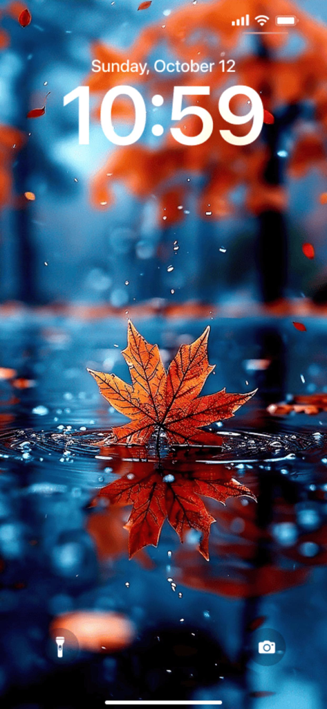 Aesthetic Wallpaper: MoodyWall - Pantalla de bloqueo de iPhone con un fondo de pantalla otoñal melancólico de una hoja de arce naranja reflejada en agua azul