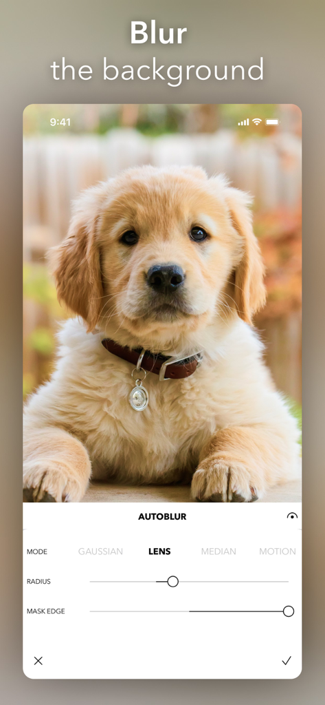 PicTapGo app interface demonstrating the background blur tool on a puppy photo