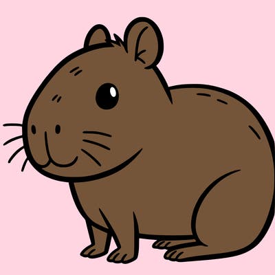 a cute capybara
