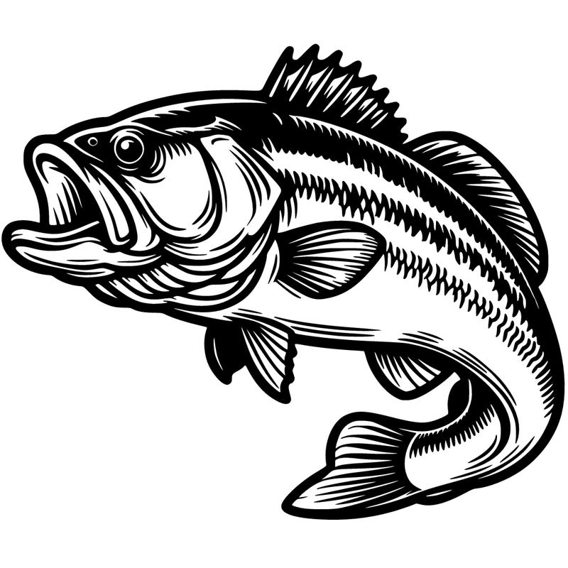 big large mouth bass