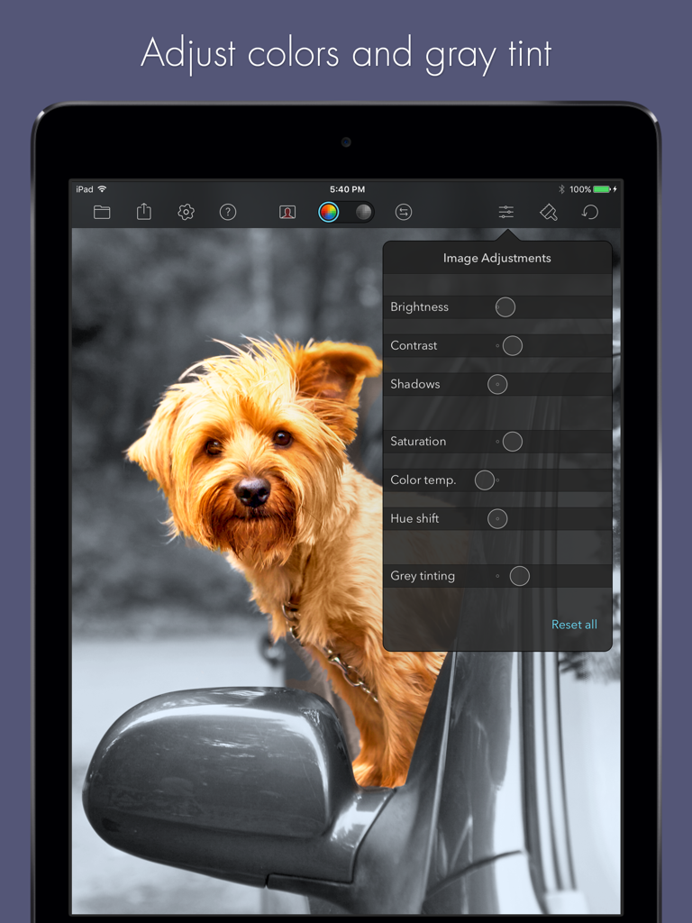 Color Splash for iPad - Ein Screenshot der Color Splash für iPad App, der das Menü für Bildeinstellungen mit Reglern für Helligkeit, Kontrast und Sättigung über einem Foto eines Hundes anzeigt