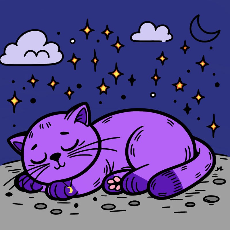 sleeping cat