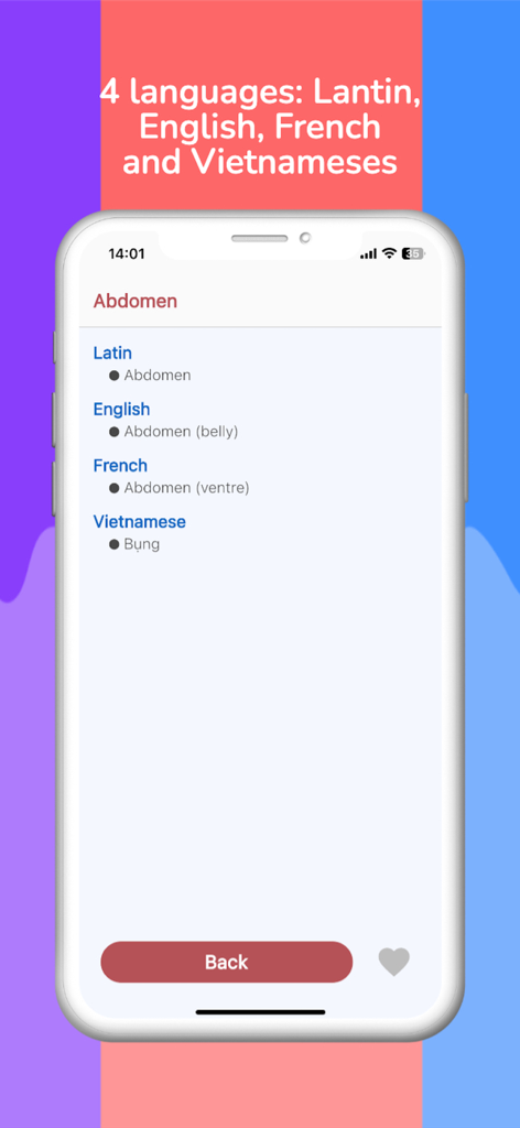Anatomy Terms - Interfaz de la aplicación Términos de Anatomía que muestra las traducciones de Abdomen en latín, inglés, francés y vietnamita