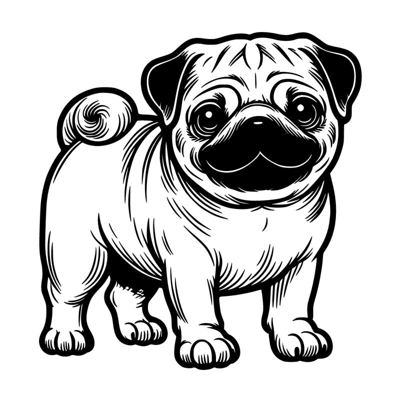 pug