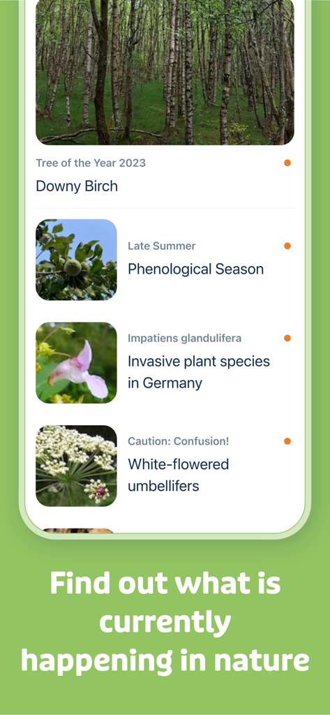 Interfaccia dell'app Flora Incognita che mostra articoli educativi e storie sulla natura per scienziati cittadini