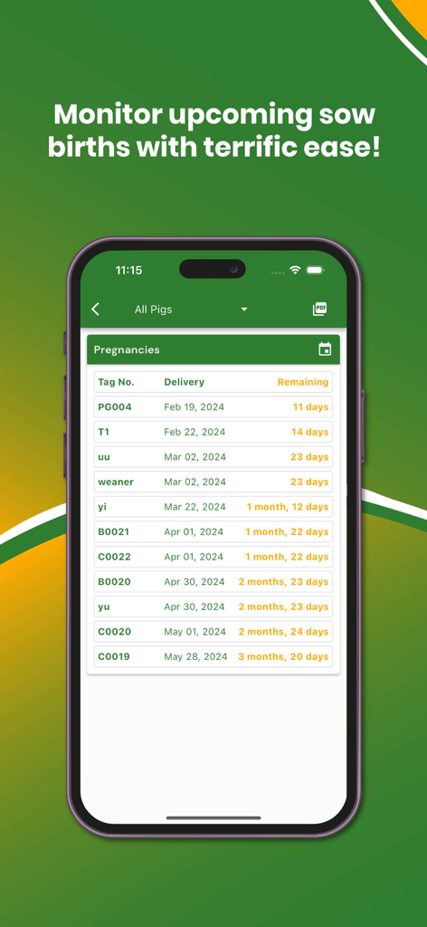My Piggery Manager - Farm app - Mobile app screen showing a list of sow pregnancies with expected delivery dates and time remaining