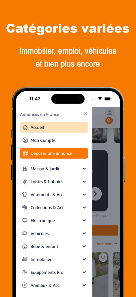Menú de categorías de la aplicación Anuncios en Francia que muestra varios tipos de anuncios como inmuebles y vehículos