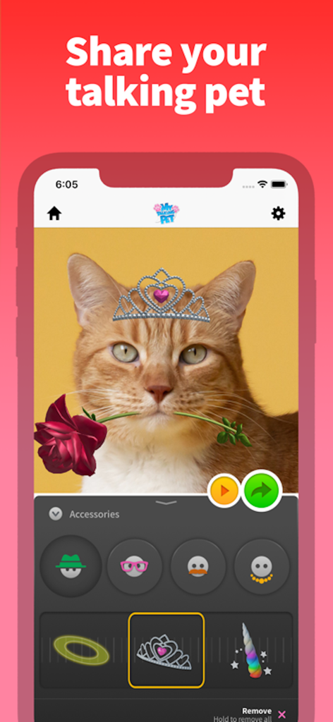 My Talking Pet - ginger cat wearing a digital tiara and holding a rose in its mouth in the my talking pet app