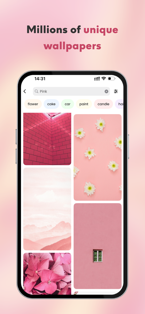 Captura de pantalla de la aplicación iScreen que muestra una búsqueda de fondos de pantalla rosas con varias imágenes estéticas florales y arquitectónicas.