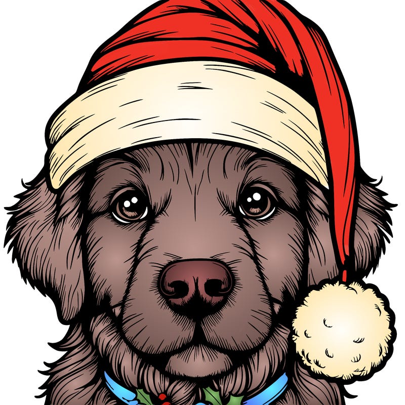 realistic dog with a christmas hat