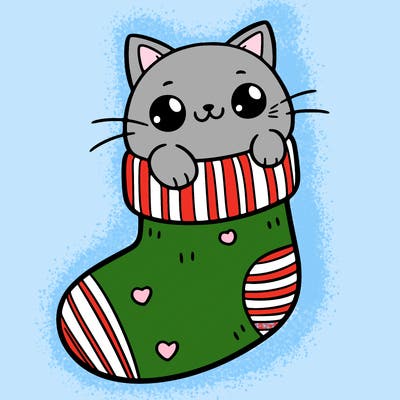 cute cat in a sock