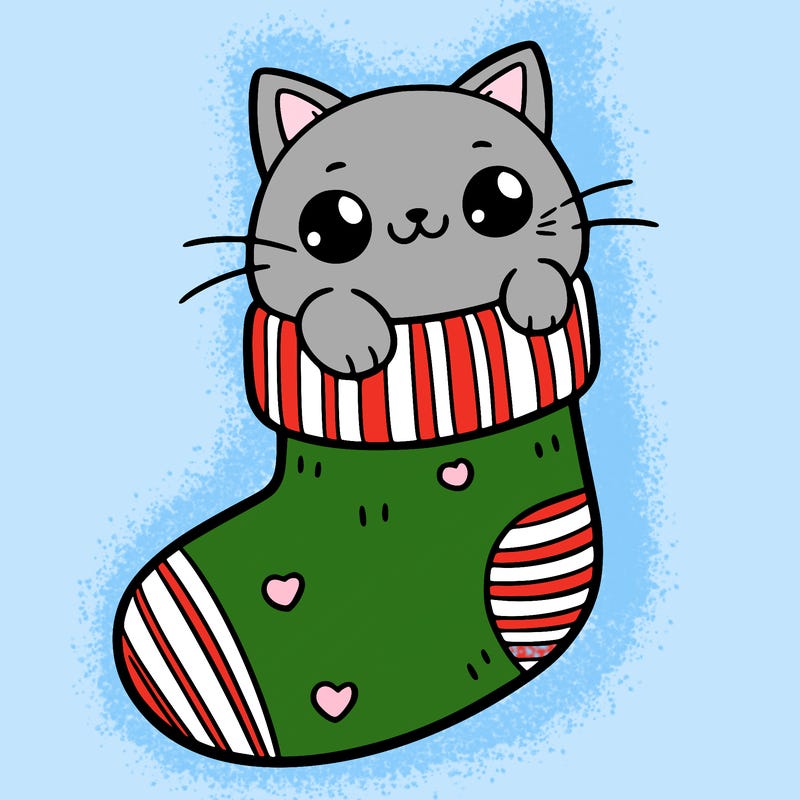 cute cat in a sock