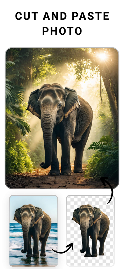 A demonstration showing an elephant cutout being moved from a beach background to a jungle scene using the PhotoCut app