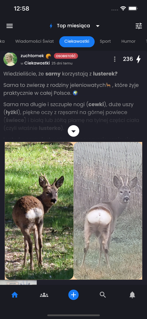 Hejto - A screenshot of the Hejto mobile app showing a post about roe deer in the curiosities category with community upvotes.