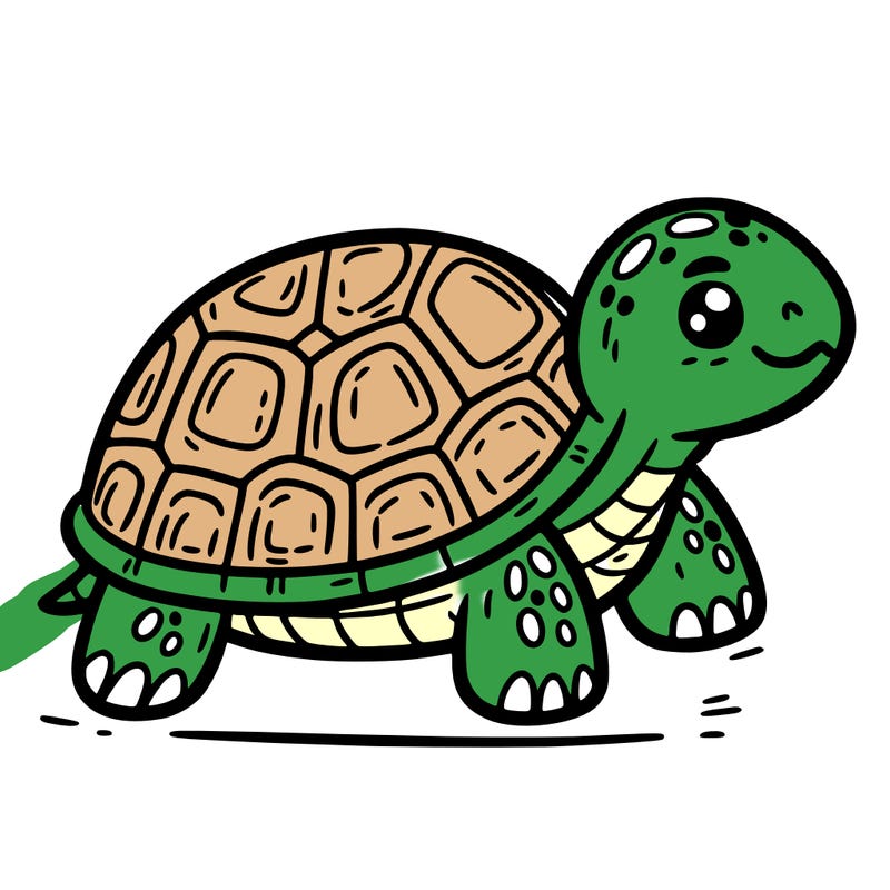 turtle