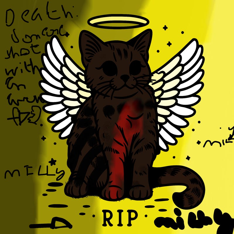 rip cat realistic cat with angel wings