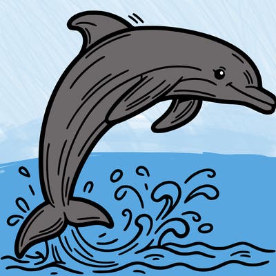 dolphin