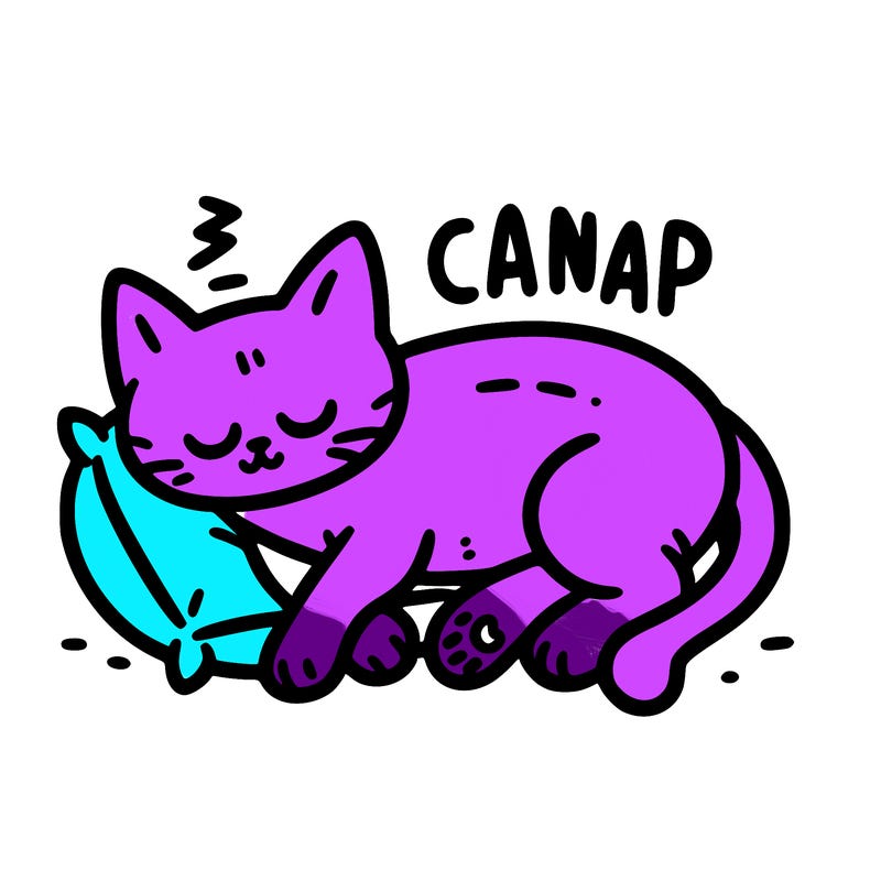 catnap