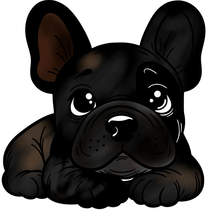 french bull dog