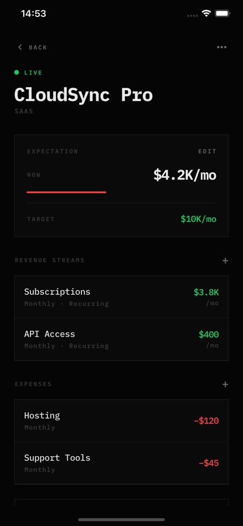 Vista de detalles del proyecto en la aplicación Vertex que muestra los flujos de ingresos y gastos mensuales de CloudSync Pro