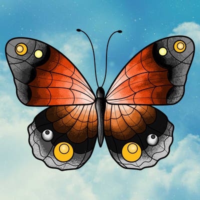 animals_18