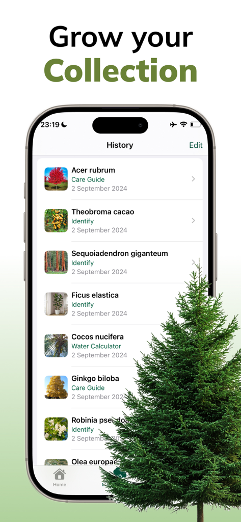 Tree Identifier AI: ID Trees - Smartphone screen displaying the history list of identified trees and plant species in the Tree Identifier AI app.