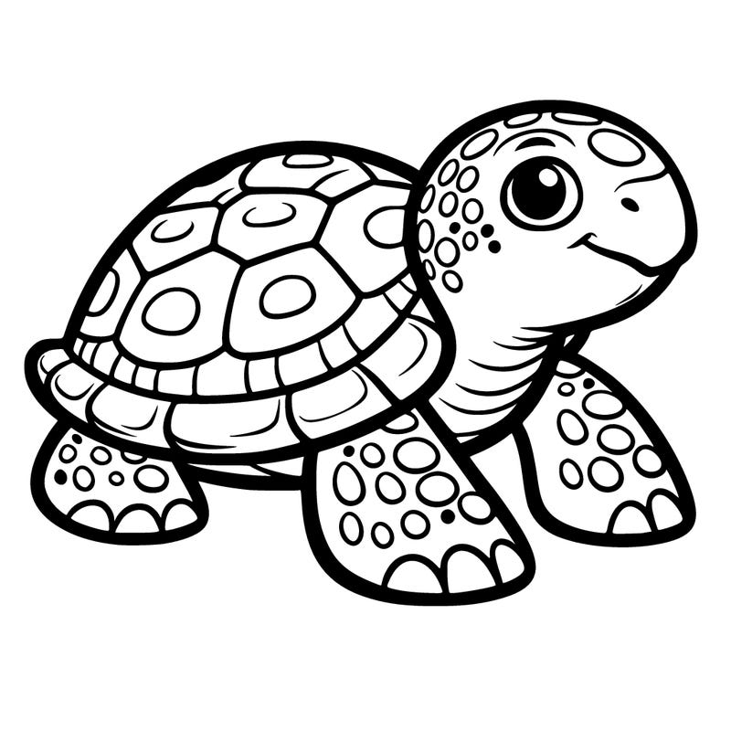 turtle