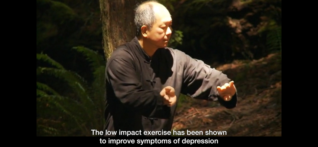 Yang Tai Chi for Beginners 1 - Master Yang performing Tai Chi with a subtitle about improving symptoms of depression