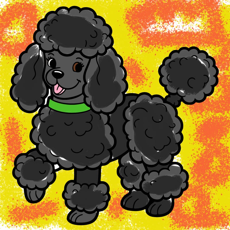 poodle